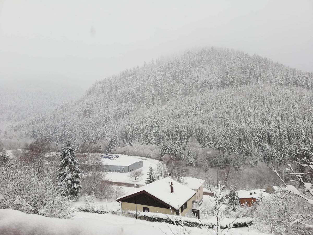 Chalet Le Bruleux La Bresse Buitenkant foto